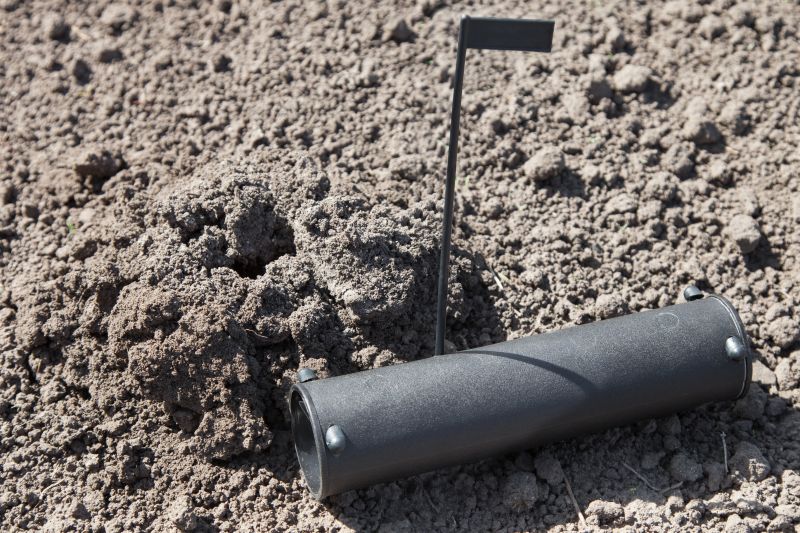 Professional Equipment Used in Removal